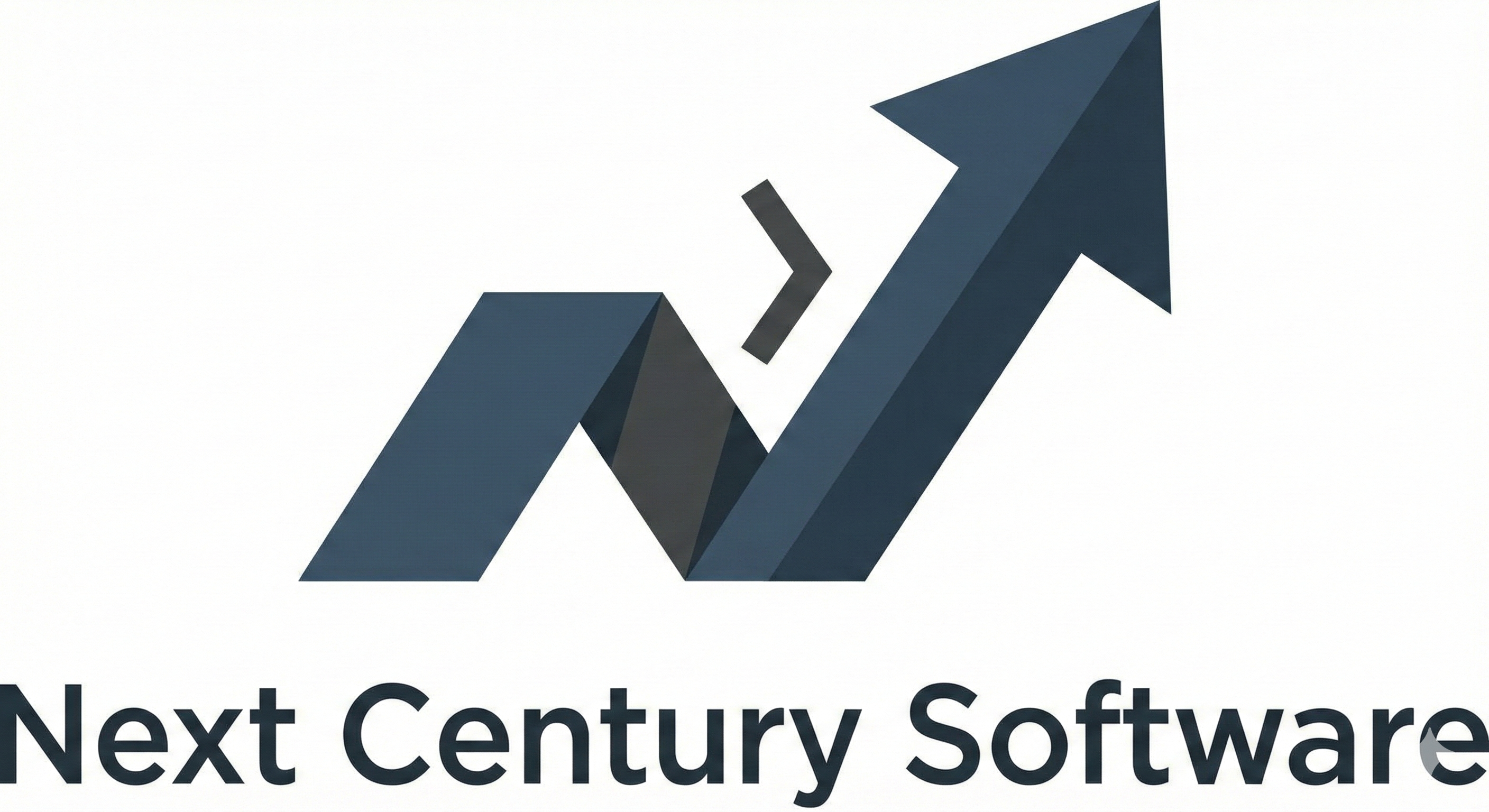 Next Century Software